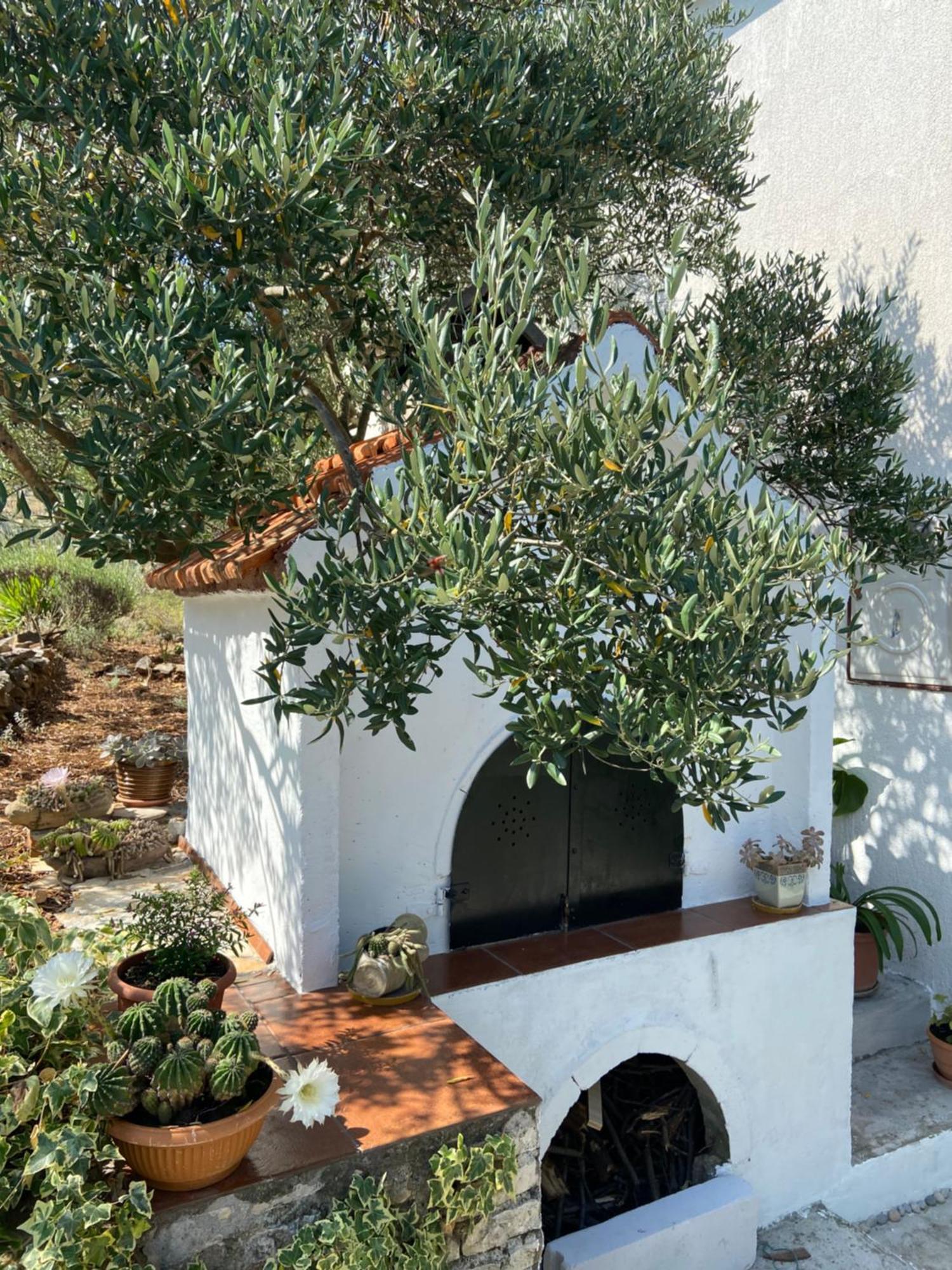 Family House Ljubica Villa Trogir Luaran gambar